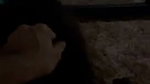 GF Taniya Bj Hard Fucking Rimjob Teasing Many Clips83