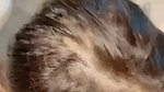 Malik Nude showing and blowjob cum on face 15 video 211