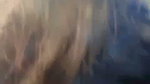 Malik Nude showing and blowjob cum on face 15 video 28
