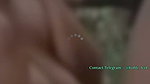 Jungle Cam Show 22