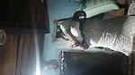 Village bhabhi making video for lover