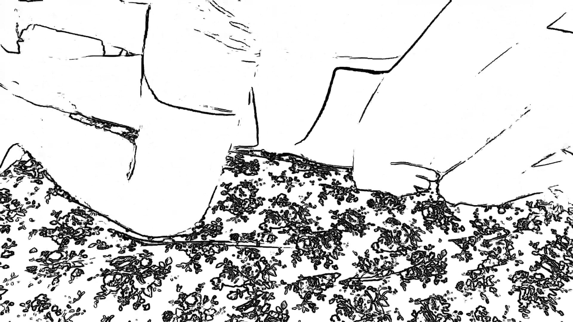 Frame 1