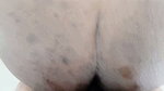 I I fucked the neighbors by turning her into a mare