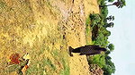 Indian desi village sex desi girl hot village girl