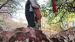 Indian Nabiya stepsister want to Outdoor Sex Stepsister want to Sucking Big Indian Cock