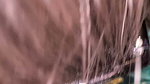 Marriage anniversary sex with hot bhabhi