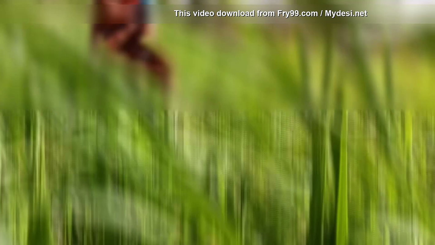 The desi stepsister of the village is bathing openly in the open field, bathing naked in the forest, brother-in-law is secretly watching the beautiful Bhabh