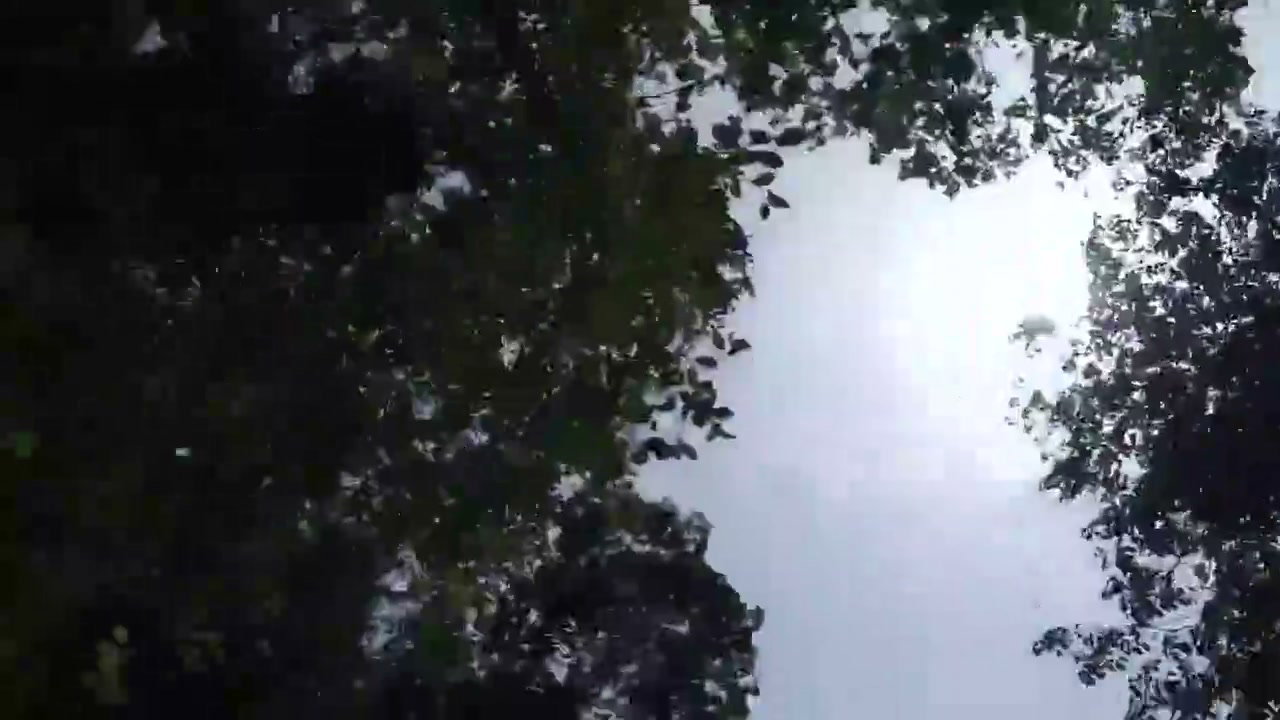 Frame 1