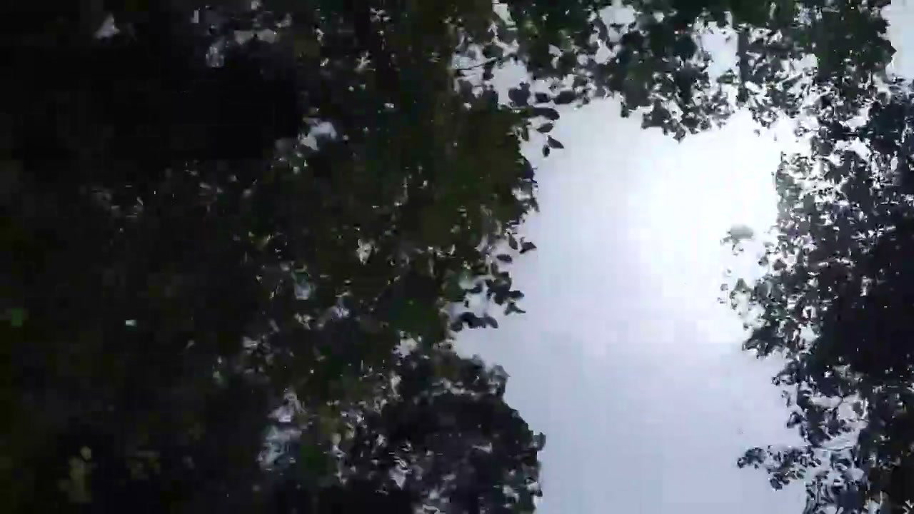 Today Again My Stepbrother Fucked Me