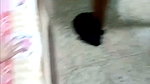 Pvt Face BigAss Threesome 10Min DirtyTalk Hardcore