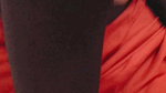 Desi Tamil House Maid in Petticoat Bra Cleaning Tease & Wild Reverse Cowgirl Ride on Owner! Indianhotwifex