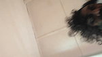 My Girlfriend Is Getting Ready to Fuck