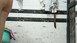 Priya Bhabi Doggy Style Video