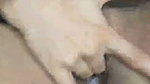 37 Pvt Face Tamil South TightAss 15Min DirtyTalk Fingering
