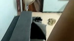 Couple South TightAss CumOnPussy 64Min DirtyTalk Fingering221