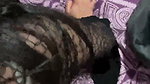 BigAss Horny Paki Milf Blowjob Hard Doggy Fuck Loudmoaning And Talk 2 1