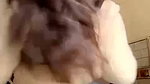 BigAss Horny Paki Milf Blowjob Hard Doggy Fuck Loudmoaning And Talk 2 5