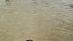 Model Vanshika Hapur Shower in River Nipples were Visible Through Her Clothes 2 1
