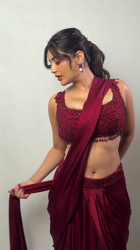 SINGH GLAM SEXY WAIST TEASE IN SAREE 2