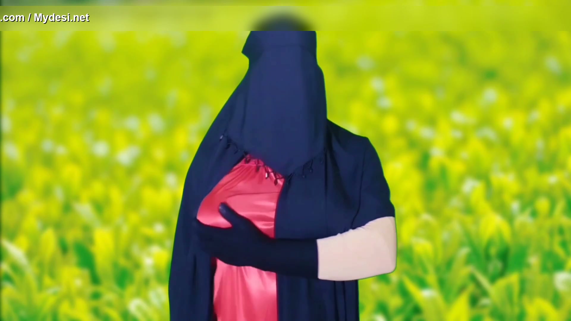 Frame 6