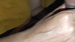 Bengali Housewife Suck And Fuck Sexy bhabhi devar ne flating married housewife fucking together first time huge 8 inch cock
