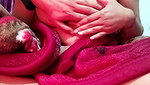 NEHA567 7 June Ass Contact I’d  stripchat ticket show