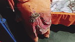 Desi Indian Bhabhi and Servant Sex video