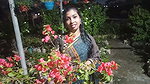 Desi Outdoor Indian Express on Bengali voice Fucking in hotel and