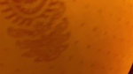 I fuck my stepsister and her husband doesn’t notice anything