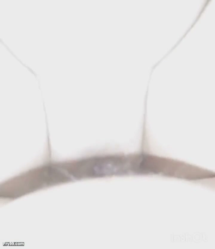 Frame 5