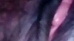 Indian Bahu Get Fucked in Her Tight Pussy by Old Sasur Ji during daytime ( Hindi Audio )