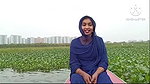Outside sex is the case in Bangladesh, real desi girls prefer to have relationships at home