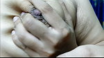 Village desi wife hard-core sex with her debar. When her husband is not at home