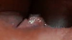 Aman put his cock between her lips and sucked it