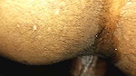 Cum inside the pussy doggy style