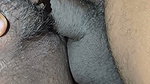 Dear All Today I Get a Nice Hard Fuking by House Owner