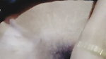Desi home sex video