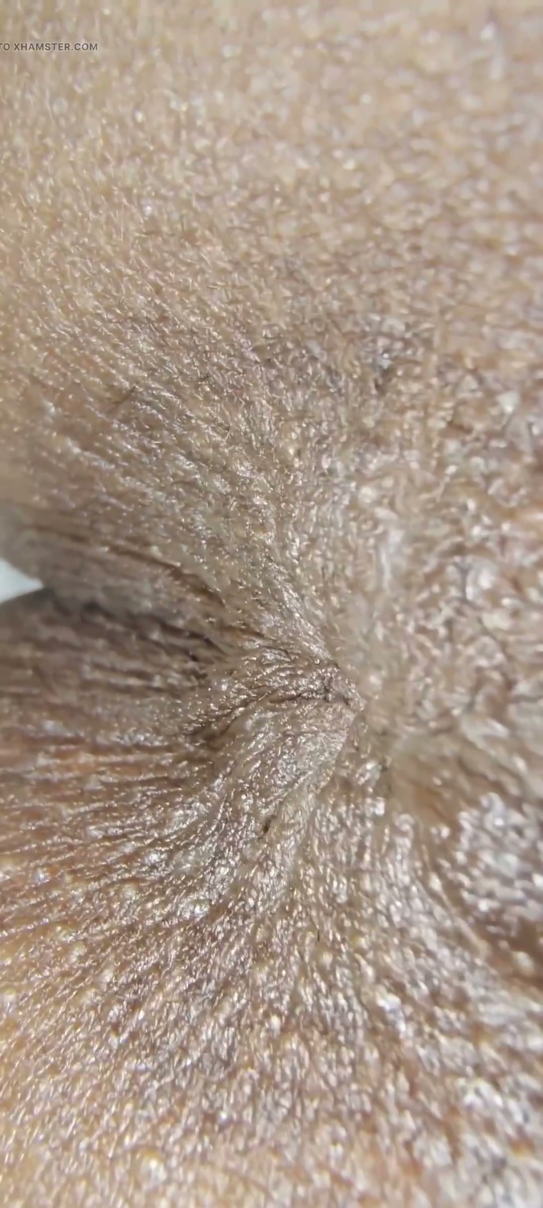 Frame 7