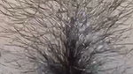 Indian wife fucking hard in room and cum in her pusssy desi ladaki ko choda aur uski choot me malai nikal di