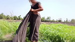 Kheton mein desi sauteli bahan Sadi utaar kar Naha Rahi Hai khula bathroom jungle mein bhabhi Naha rahi hai sasur ji ne deka outdoor Bahhroo