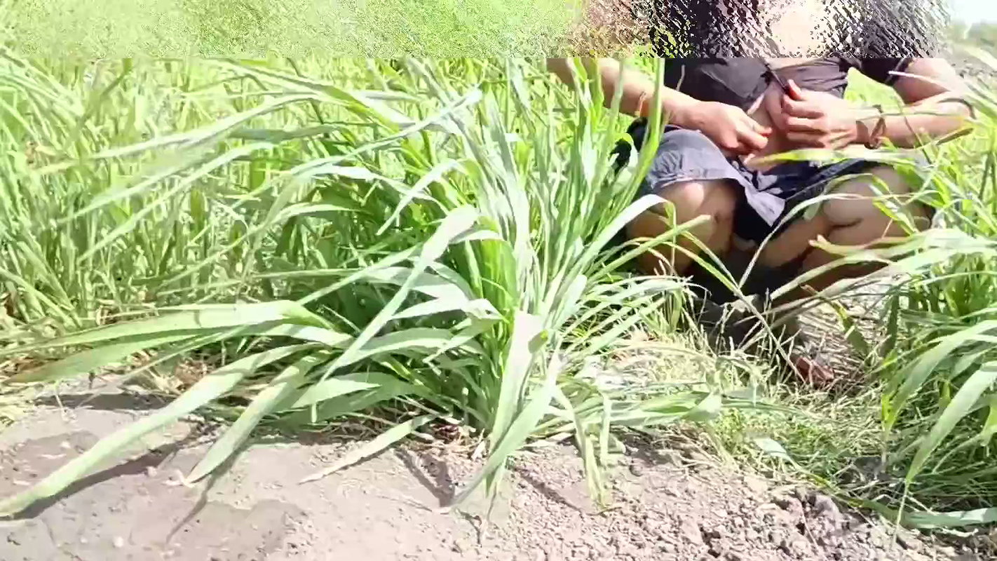 Kheton mein desi sauteli bahan Sadi utaar kar Naha Rahi Hai khula bathroom jungle mein bhabhi Naha rahi hai sasur ji ne deka outdoor Bahhroo