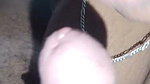 Married indian slut sucking coworker’s cock