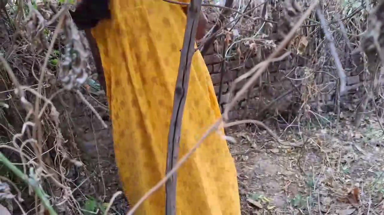 Frame 1