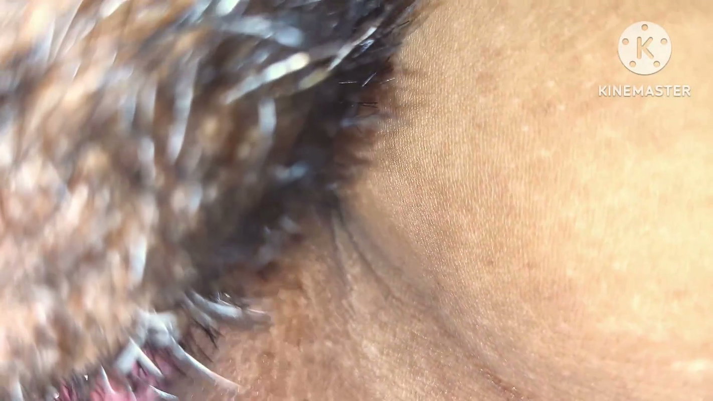 My stepsister moaning louder when I bite her pussy during Licking