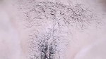 Pooja put her hand in wife’s pussy and inserted cucumber, pussy and ass exploded