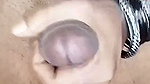 Trans Baby Cumshot Compilation Shemale Porn
