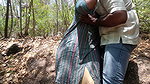Unexpected experience in forest outdoor