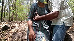 Unexpected experience in forest outdoor