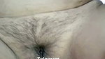 202 1 stripchat ticket show