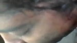 Cute young sucker